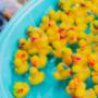 The Lucky Ducks Game