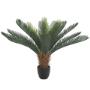 Artificial Plants - Cyca