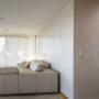 Venetian plaster Marmorino fine feature wall