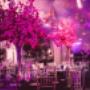 sydney wedding venue