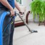carpet steam cleaning