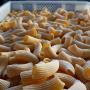 Freshly extruded Rigatoni Pasta