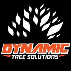 Dynamic Tree Solutions PTY LTD
