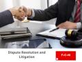 Dispute Resolution and Litigation