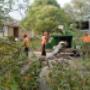 Tree service Northern Beaches