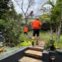 tree trimming Northern Beaches