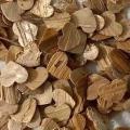 Melaleuca Paperbark Confetti