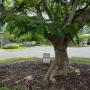 Brisbane Livewell Clinic (Wavell Heights)