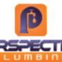 Perspective Plumbing