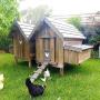 Chicken Coops Australia