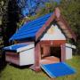 Duck Coops