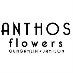 Anthos Flowers Gungahlin