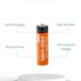 AA Battery