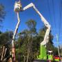 Emergency Tree Services