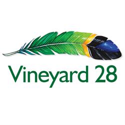 Vineyard 28