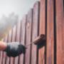 Fence Painting