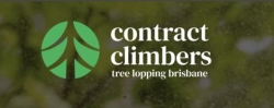 Contract Climbers Tree Lopping Brisbane
