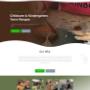 Website portfolio - Natural Wonders
