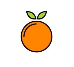 Orange Rentals Australia