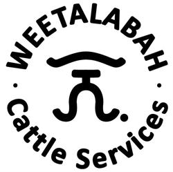 Weetalabah Cattle. Gelbvieh and Hereford
