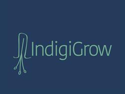 IndigiGrow Native Bushfoods & Plants