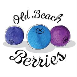 Old Beach Berries