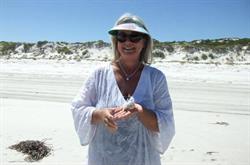 Louise Stewart Brown Creative Artworks