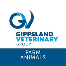 Gippsland Veterinary Group - Equine