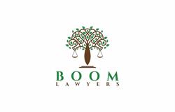 Boom Lawyers