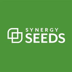 Synergy Seeds Australia