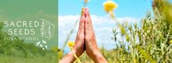 Sacred Seeds Yoga School (Bija Yoga)