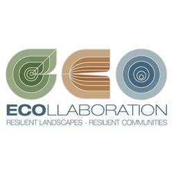 ECOllaboration Ltd