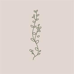 Bloom Chiro & Co