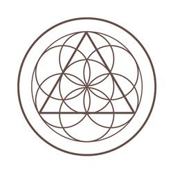 Awaken Chiropractic