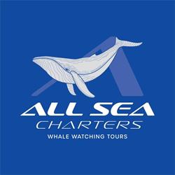 All Sea Charters Whale Watching