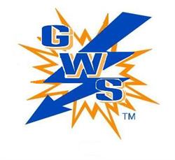 Generator & Welder Services