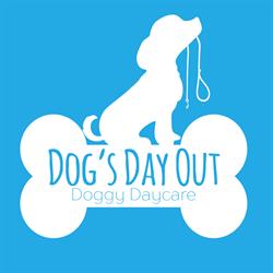Dog's Day Out Doggy Daycare