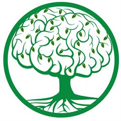 Soothing Minds Counselling & Psychotherapy