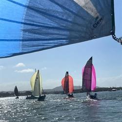 NYRC Sailing