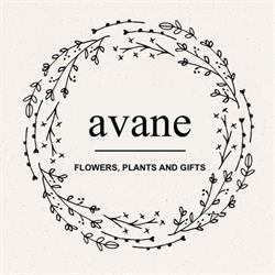 Avane