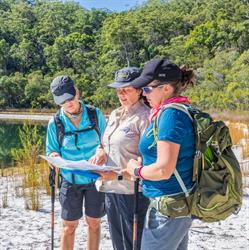 K'gari Walking Tours