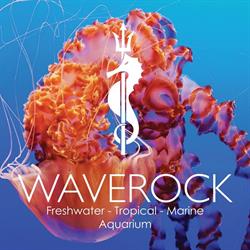 Waverock Aquarium