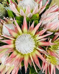 Taree flowers & gifts