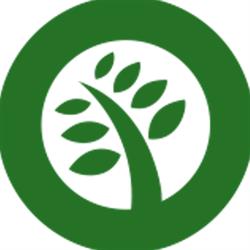 Optima Lime