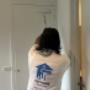 Home Painting
