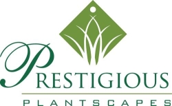 Prestigious Plantscapes