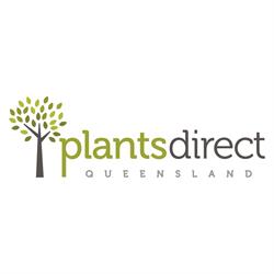 Plants Direct Queensland