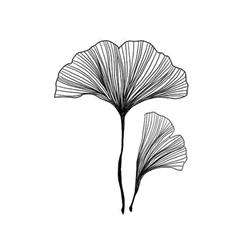 Integrative Health Collective