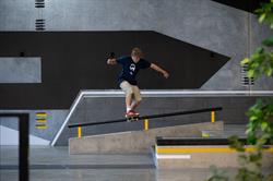 Skate Sculpture