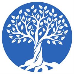 Blue Fig Clinic